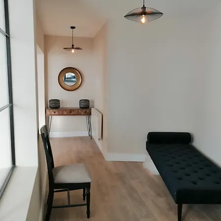 Apartament The Patrick Street Lofts